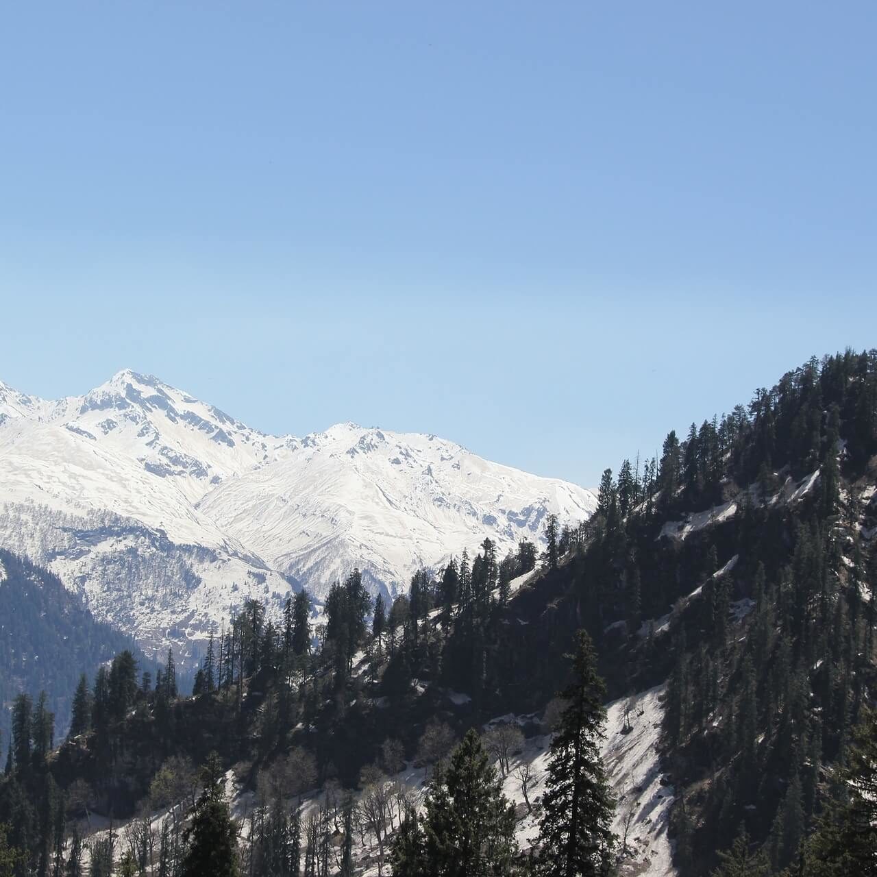 Shimla Kufri Local Sightseeing Tour