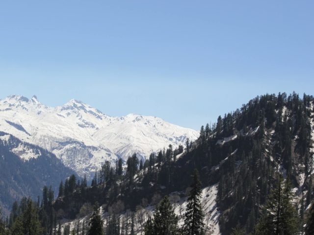 Shimla Kufri Local Sightseeing Tour