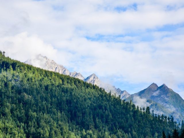 Manali Tour From Chandigarh